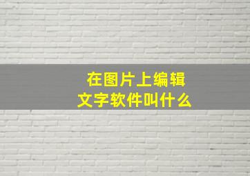 在图片上编辑文字软件叫什么