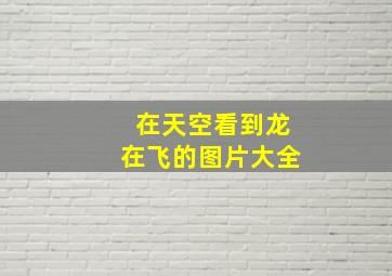 在天空看到龙在飞的图片大全