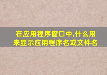 在应用程序窗口中,什么用来显示应用程序名或文件名