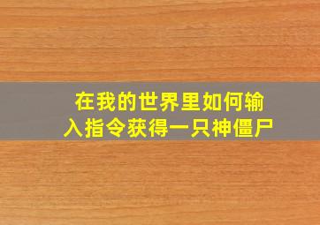 在我的世界里如何输入指令获得一只神僵尸