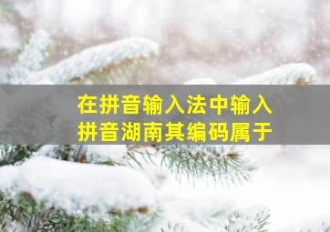 在拼音输入法中输入拼音湖南其编码属于