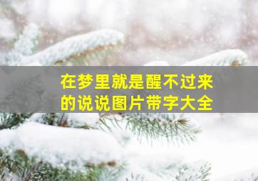 在梦里就是醒不过来的说说图片带字大全