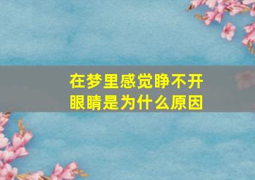 在梦里感觉睁不开眼睛是为什么原因