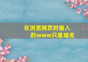 在浏览网页时输入的www只是域名