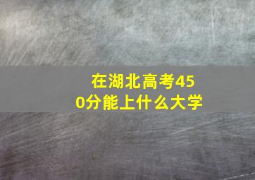 在湖北高考450分能上什么大学