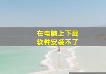 在电脑上下载软件安装不了