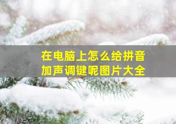 在电脑上怎么给拼音加声调键呢图片大全