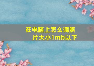 在电脑上怎么调照片大小1mb以下