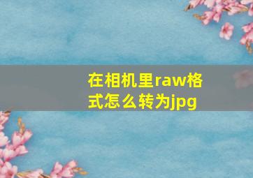 在相机里raw格式怎么转为jpg