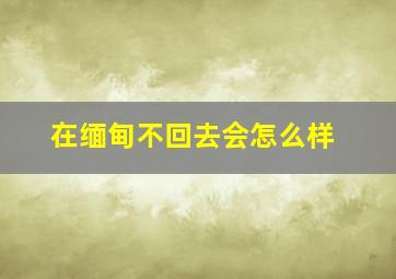 在缅甸不回去会怎么样