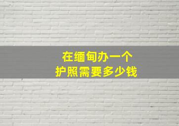 在缅甸办一个护照需要多少钱