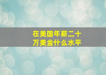 在美国年薪二十万美金什么水平