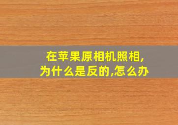 在苹果原相机照相,为什么是反的,怎么办