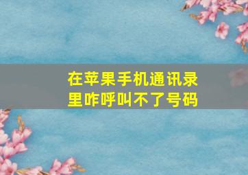 在苹果手机通讯录里咋呼叫不了号码