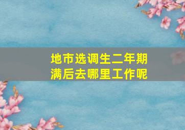 地市选调生二年期满后去哪里工作呢