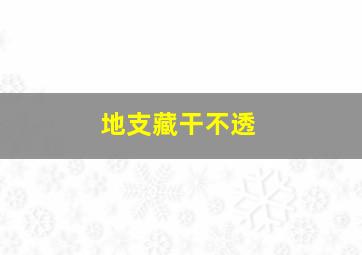 地支藏干不透