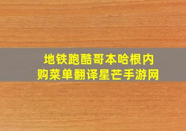 地铁跑酷哥本哈根内购菜单翻译星芒手游网