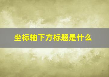 坐标轴下方标题是什么