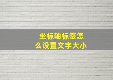 坐标轴标签怎么设置文字大小