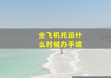 坐飞机托运什么时候办手续