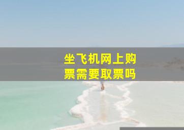 坐飞机网上购票需要取票吗