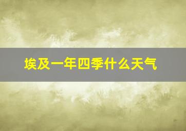 埃及一年四季什么天气