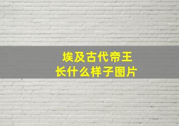 埃及古代帝王长什么样子图片