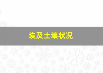 埃及土壤状况