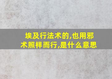 埃及行法术的,也用邪术照样而行,是什么意思