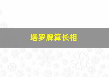 塔罗牌算长相