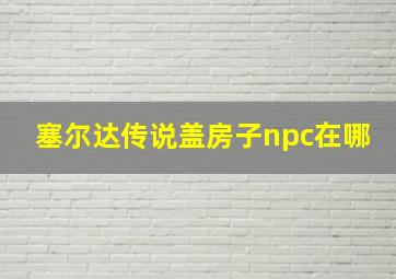 塞尔达传说盖房子npc在哪