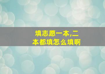 填志愿一本,二本都填怎么填啊