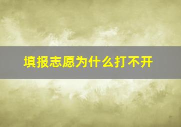 填报志愿为什么打不开