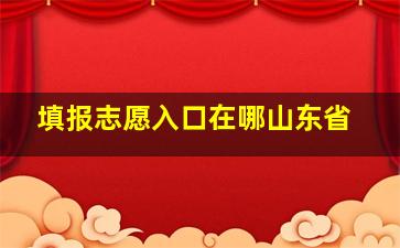 填报志愿入口在哪山东省