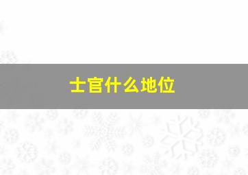 士官什么地位