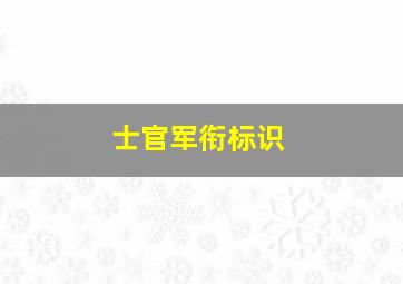 士官军衔标识