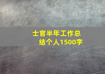 士官半年工作总结个人1500字