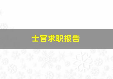 士官求职报告