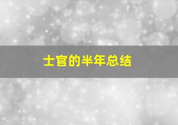 士官的半年总结