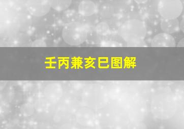 壬丙兼亥巳图解