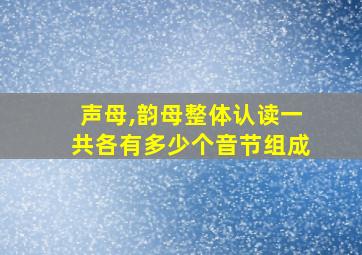 声母,韵母整体认读一共各有多少个音节组成