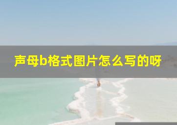 声母b格式图片怎么写的呀