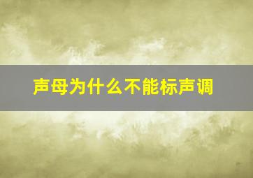 声母为什么不能标声调