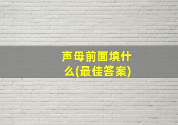 声母前面填什么(最佳答案)