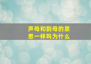 声母和韵母的意思一样吗为什么