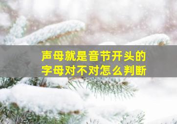 声母就是音节开头的字母对不对怎么判断