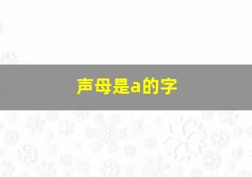 声母是a的字