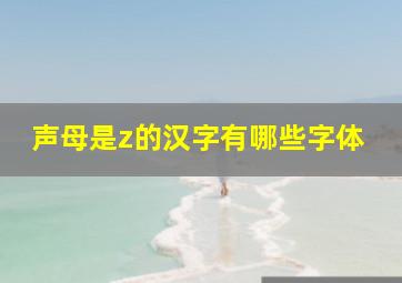 声母是z的汉字有哪些字体