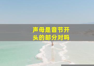 声母是音节开头的部分对吗