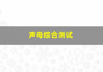 声母综合测试